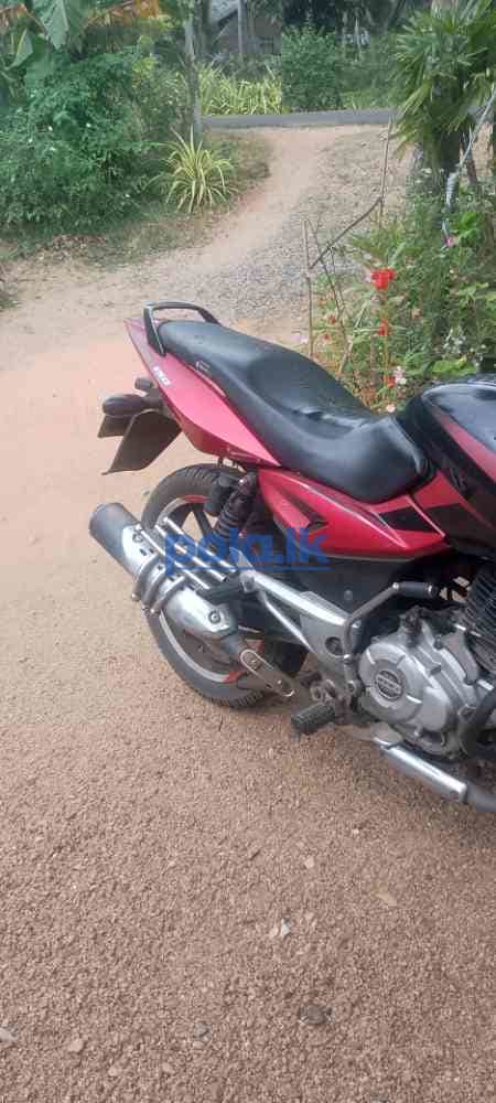 Bajaj pulser - photo 3