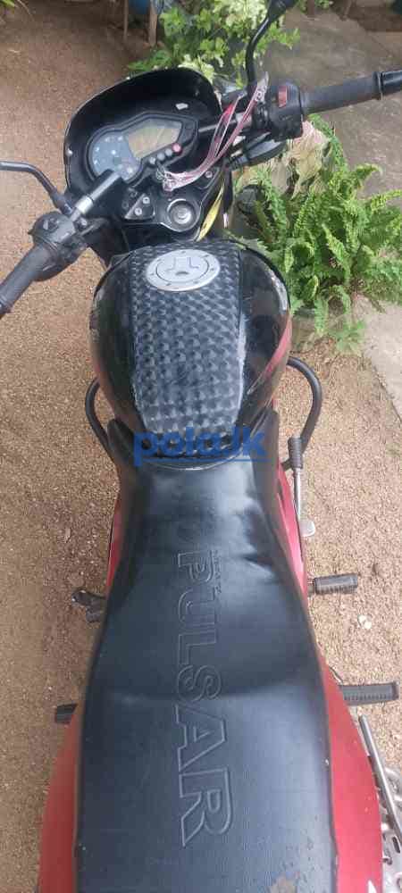 Bajaj pulser - photo 2