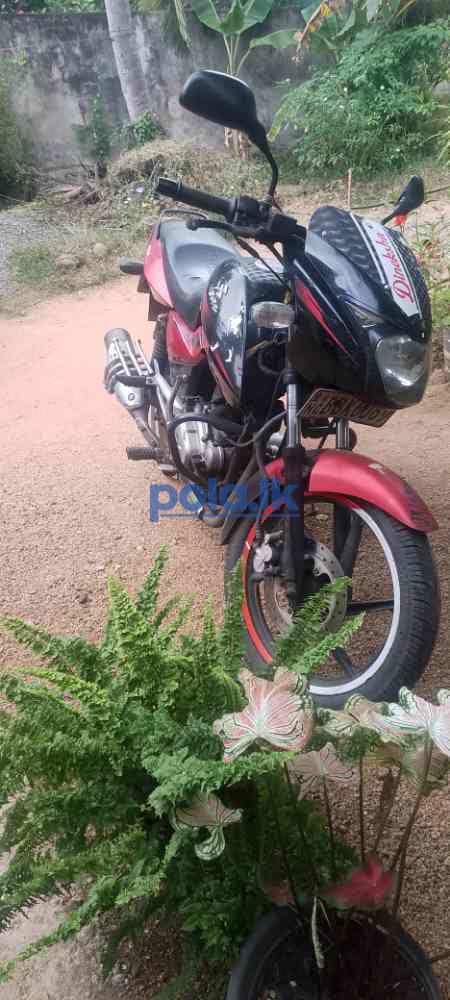 Bajaj pulser - photo 1