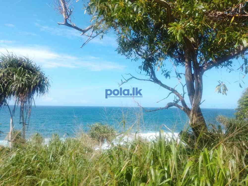 Beachfront land for sale - photo 7