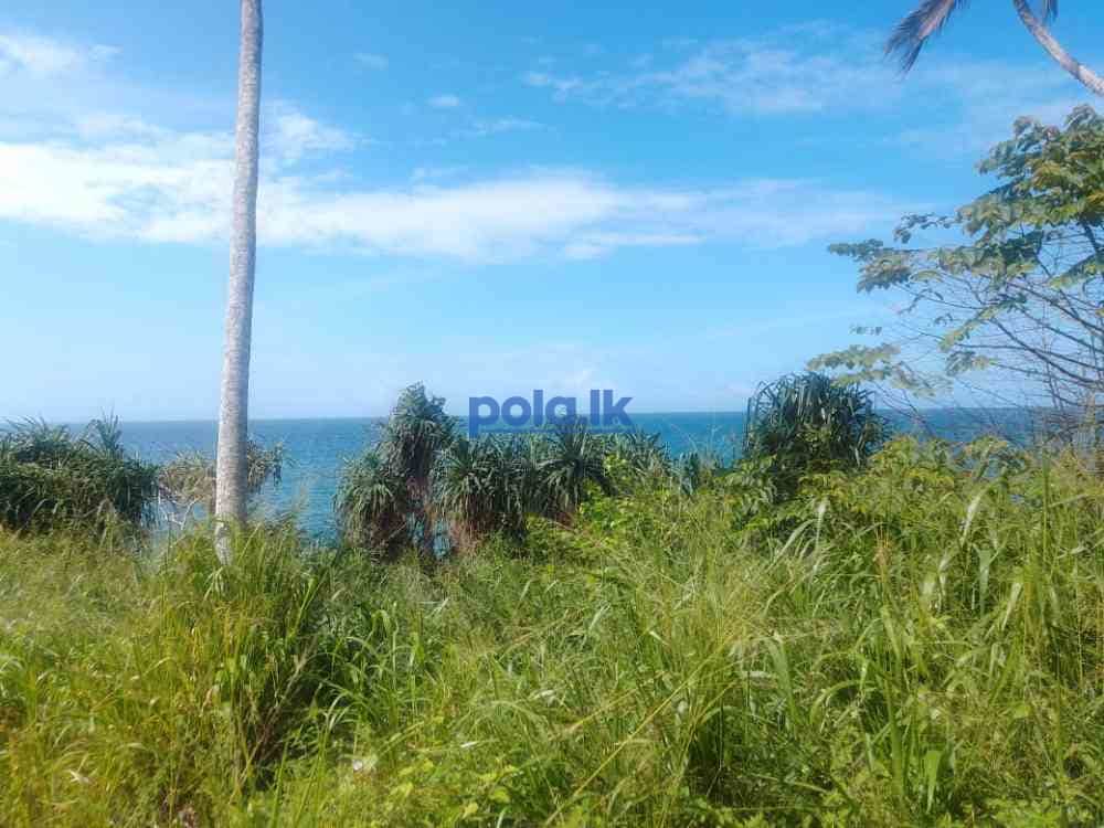 Beachfront land for sale - photo 3