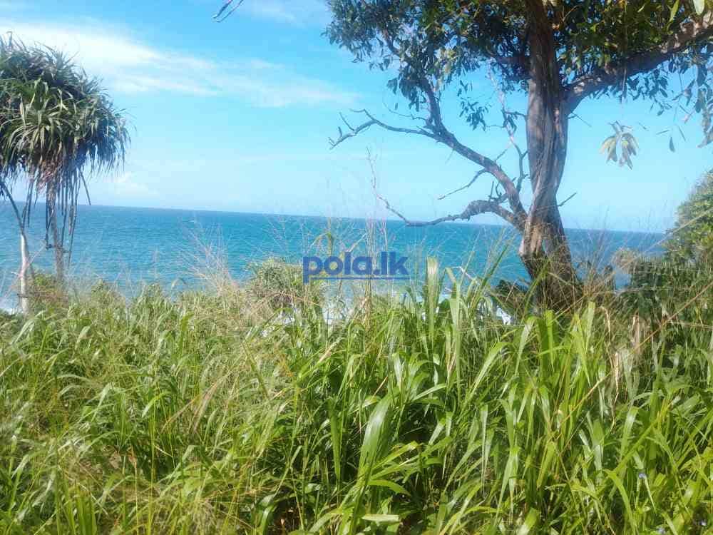 Beachfront land for sale - photo 9