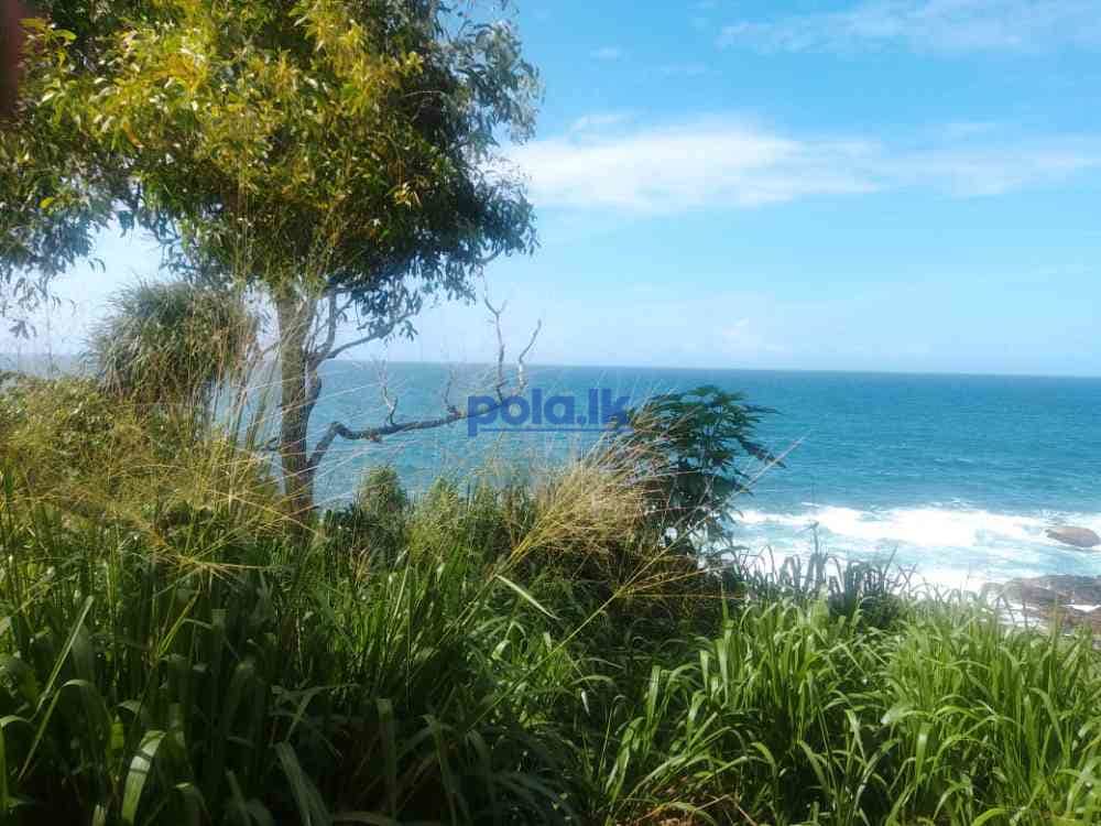 Beachfront land for sale - photo 6