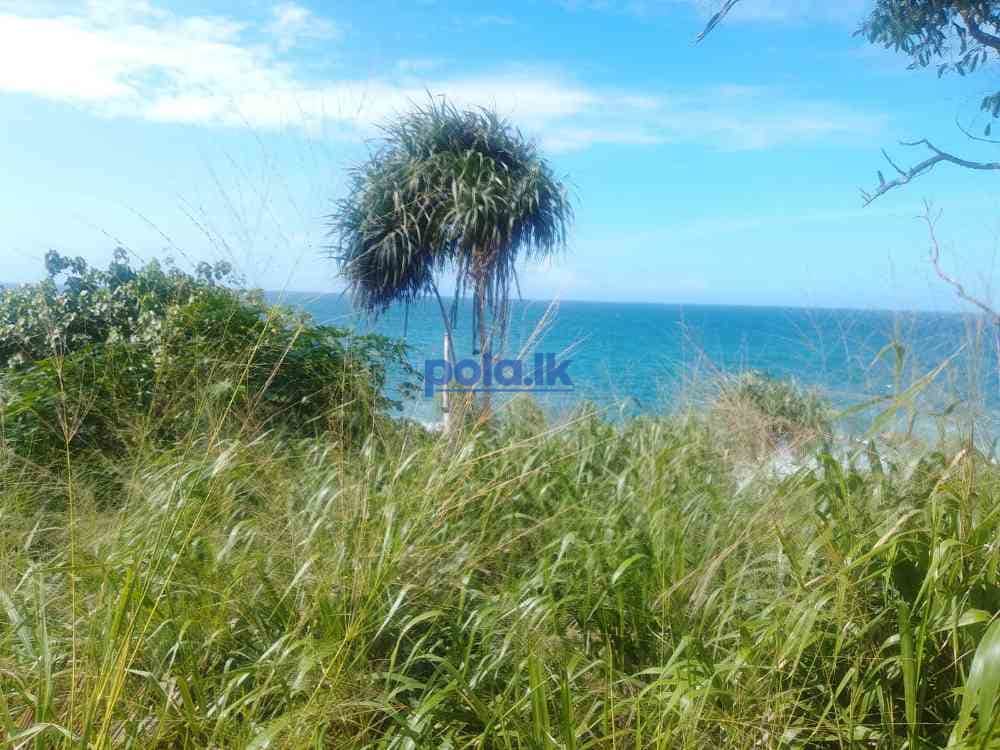 Beachfront land for sale - photo 5