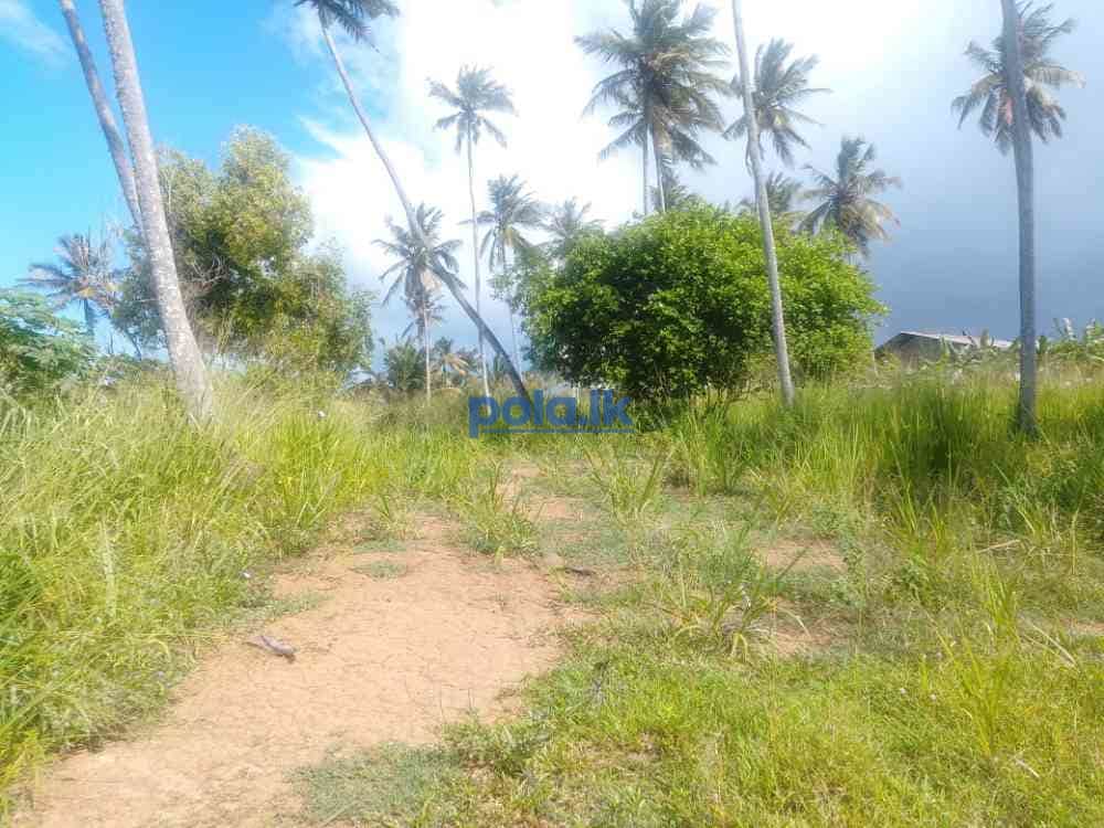 Beachfront land for sale - photo 4
