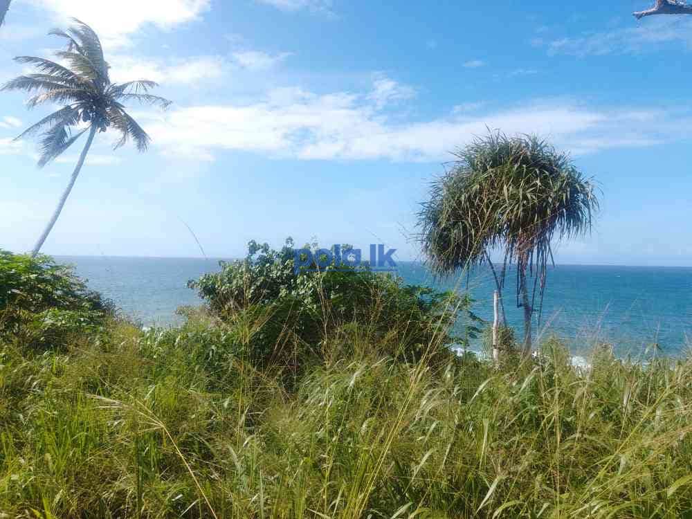 Beachfront land for sale - photo 8