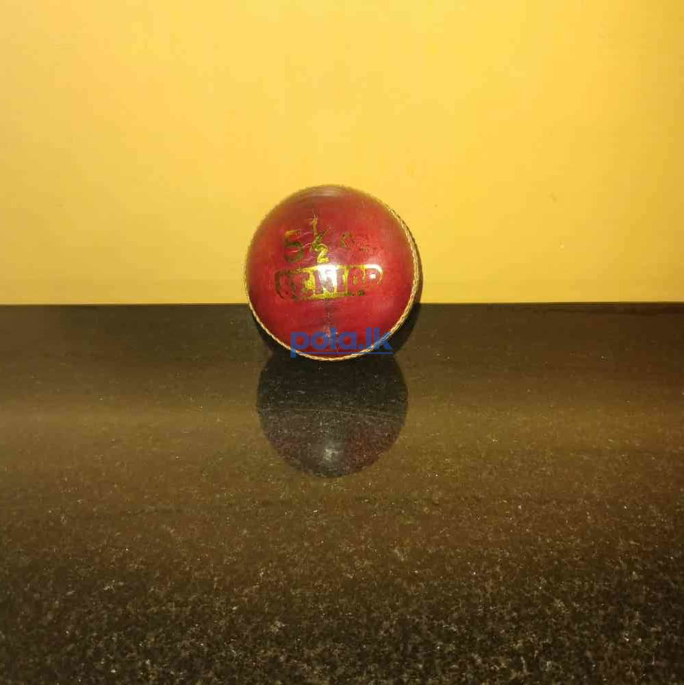 Cricket leather balls - photo 8