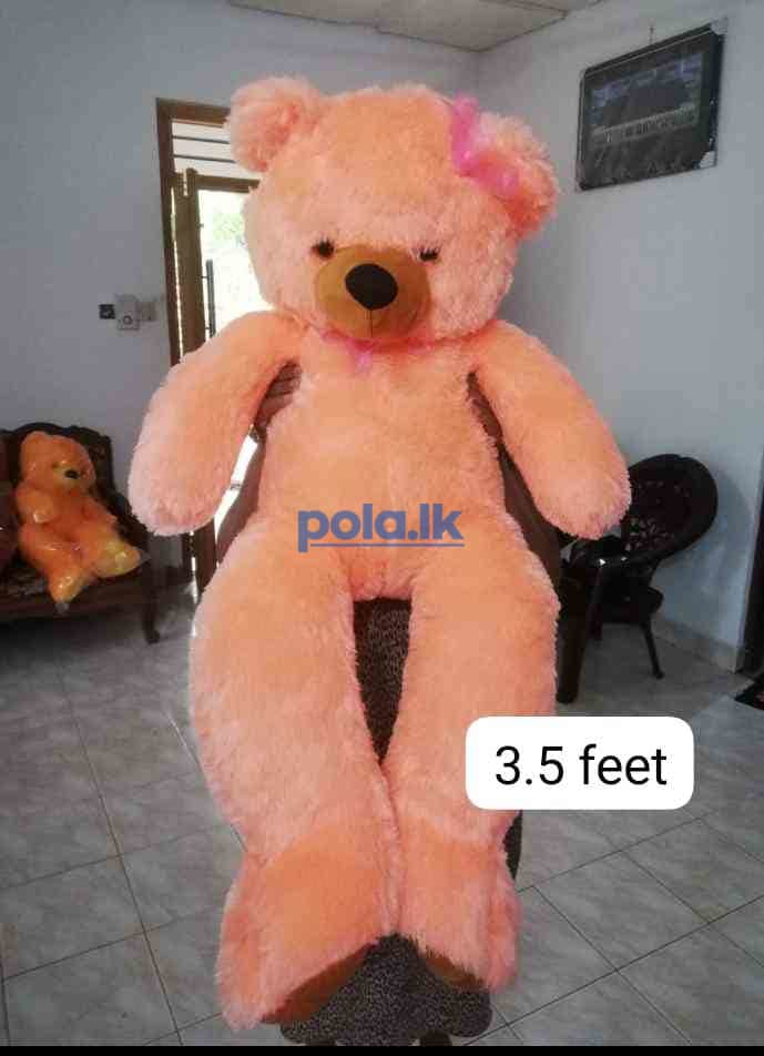 taddy Bear - photo 5
