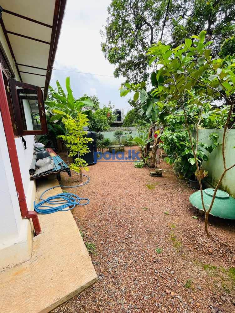 House for sale Kandana esakhena | 3BR | 11.5P - photo 11