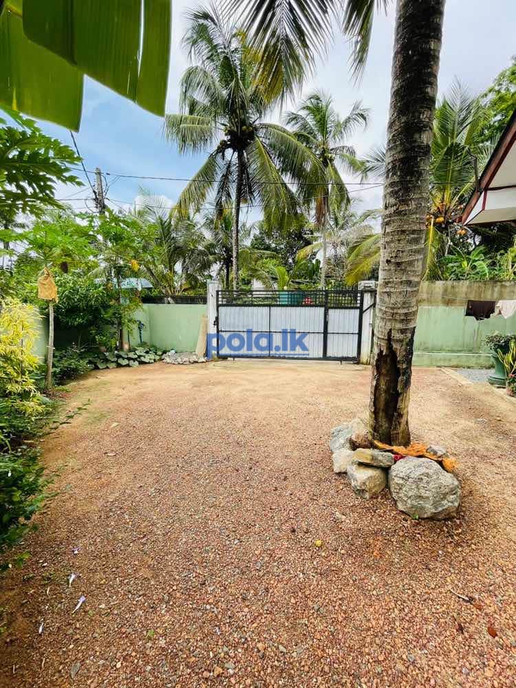 House for sale Kandana esakhena | 3BR | 11.5P - photo 4