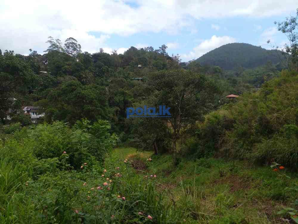 Bandarawela ella commercial land for sale - photo 4