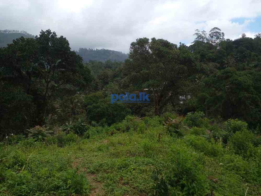 Bandarawela ella commercial land for sale - photo 11