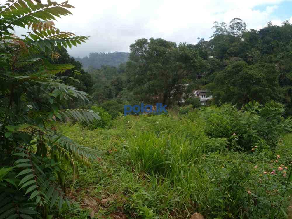 Bandarawela ella commercial land for sale - photo 7