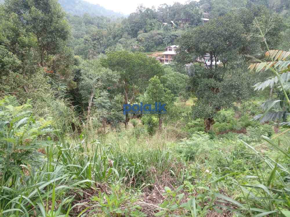Bandarawela ella commercial land for sale - photo 8