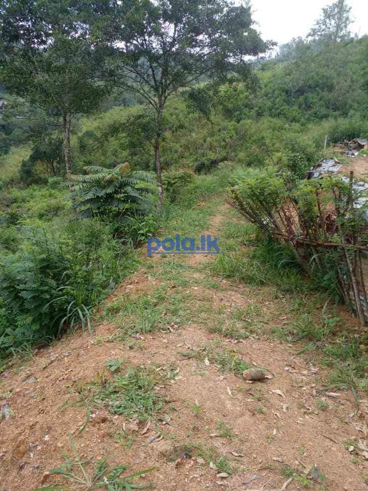 Bandarawela ella commercial land for sale - photo 16