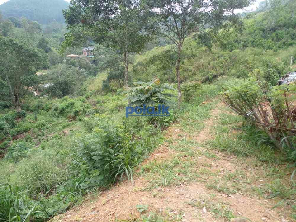 Bandarawela ella commercial land for sale - photo 5
