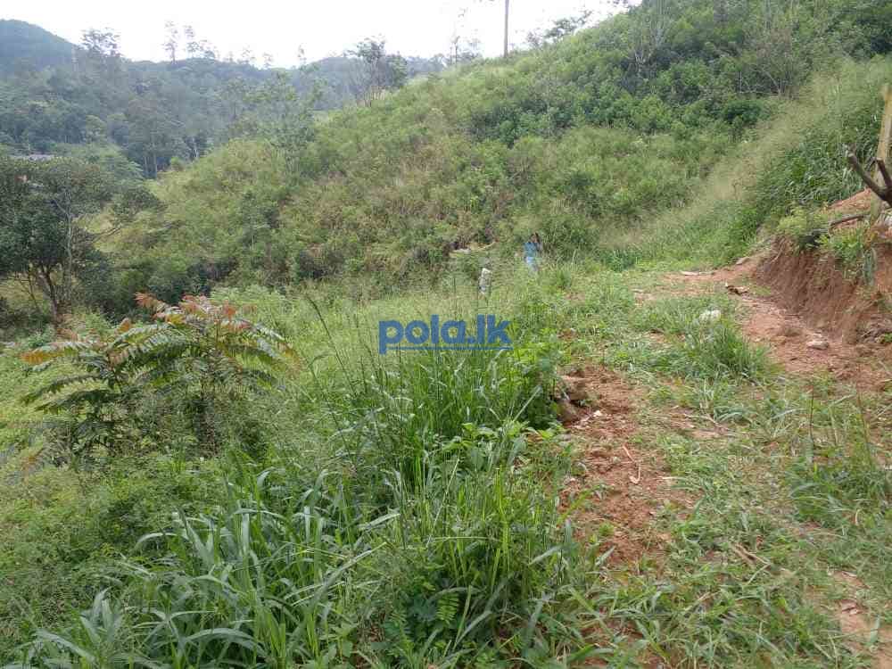 Bandarawela ella commercial land for sale - photo 3