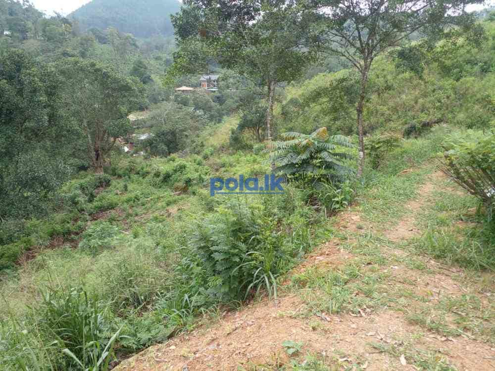 Bandarawela ella commercial land for sale - photo 6