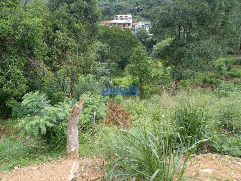 Bandarawela ella commercial land for sale - photo 12