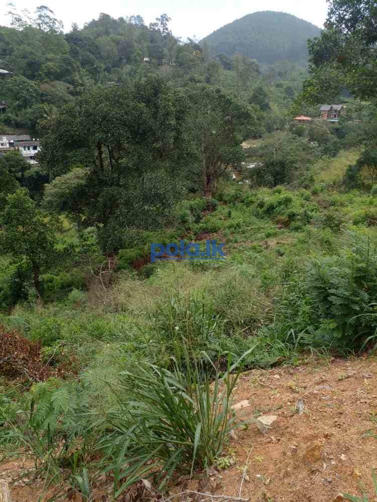 Bandarawela ella commercial land for sale - photo 10
