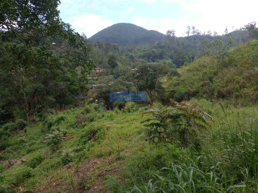 Bandarawela ella commercial land for sale - photo 1