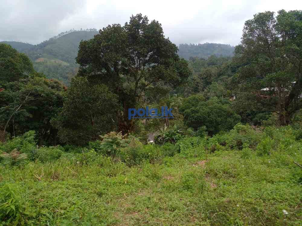 Bandarawela ella commercial land for sale - photo 2