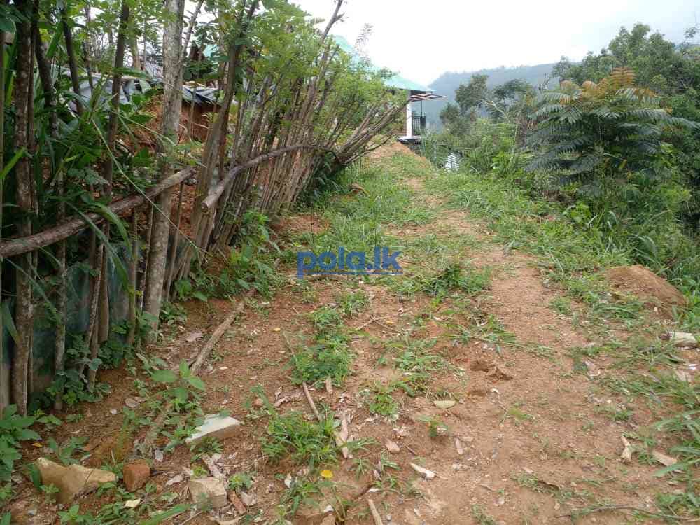Bandarawela ella commercial land for sale - photo 9