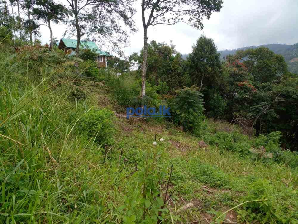 Bandarawela ella commercial land for sale - photo 14