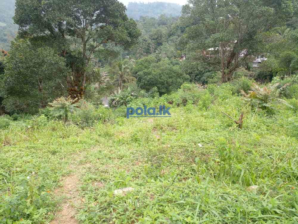 Bandarawela ella commercial land for sale - photo 13