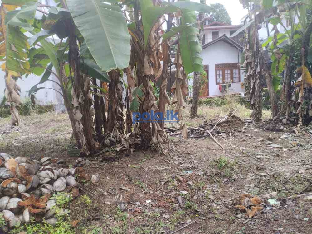 Land for sale in pannipitiya - photo 7