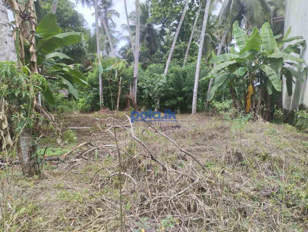 Land for sale in pannipitiya - photo 3