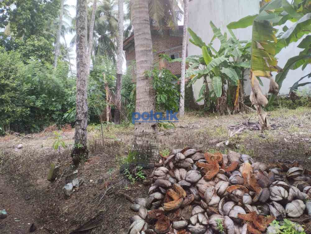 Land for sale in pannipitiya - photo 5