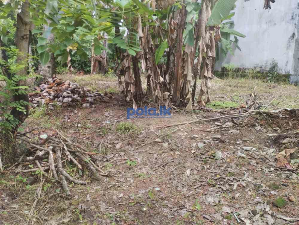 Land for sale in pannipitiya - photo 2