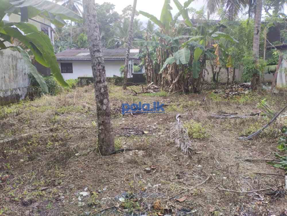 Land for sale in pannipitiya - photo 4