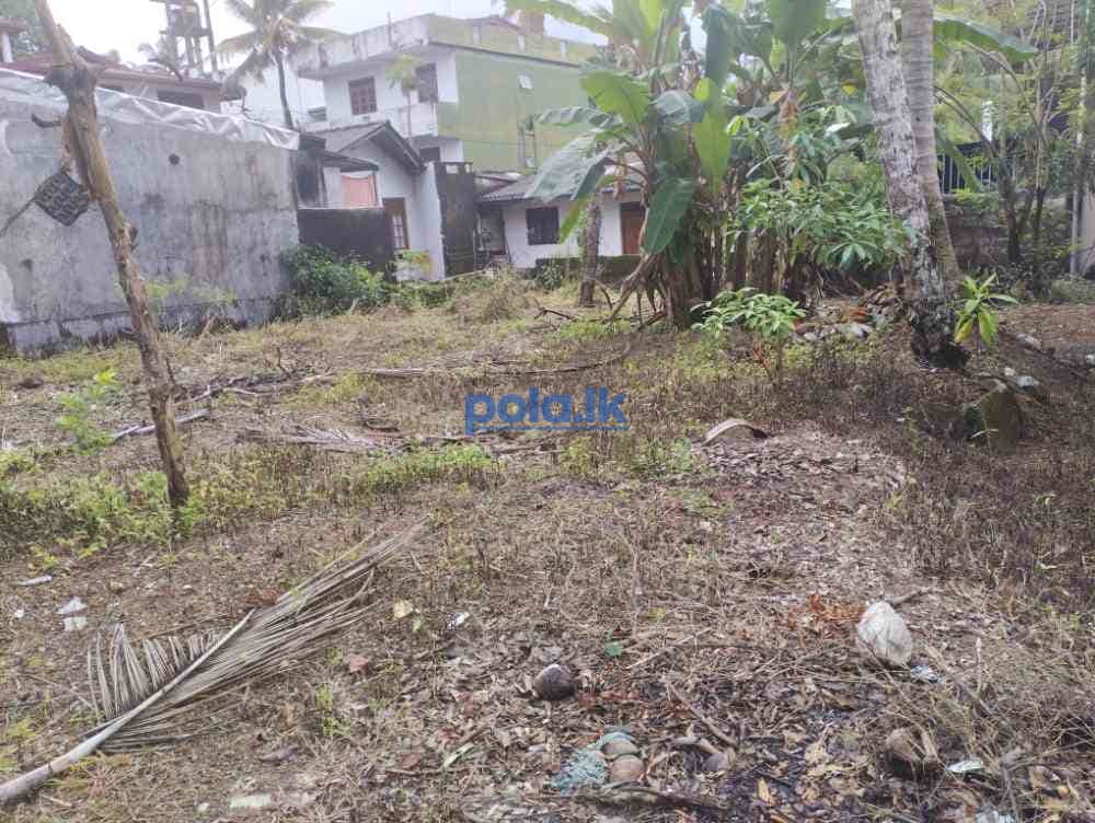 Land for sale in pannipitiya - photo 6