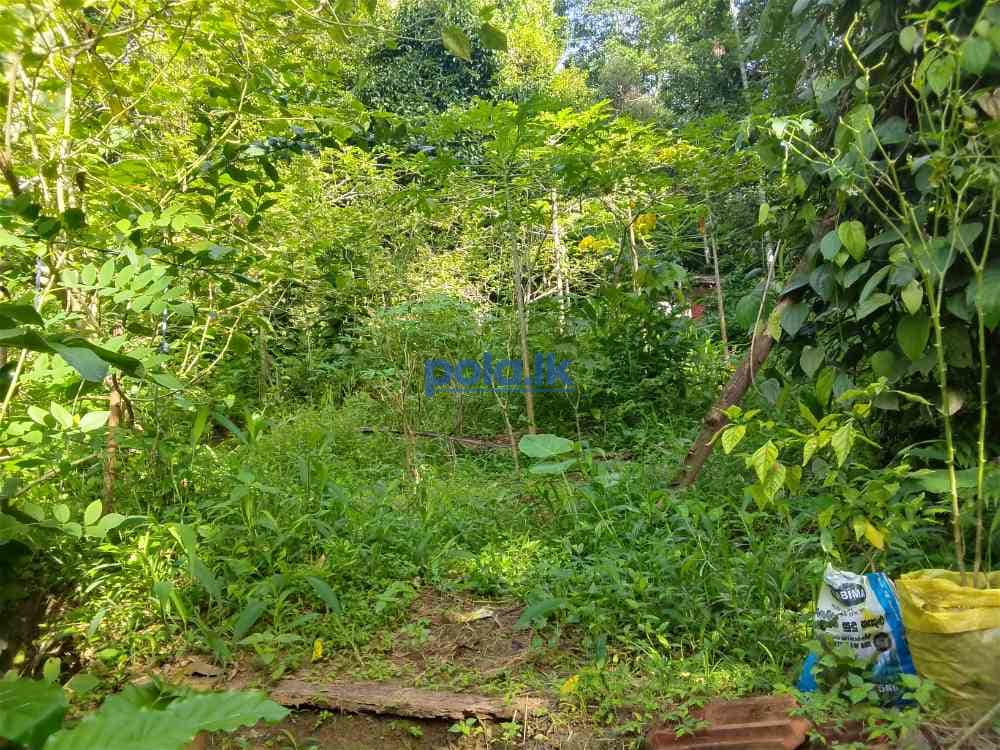 Land for sale in peradeniya elugoda - photo 4