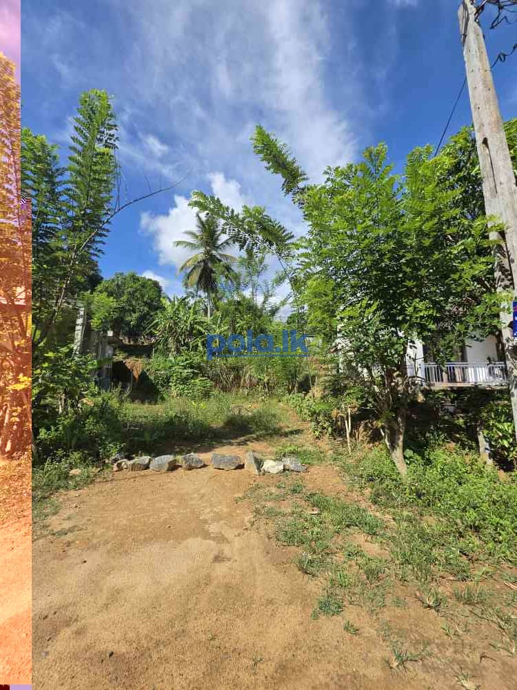 Land for sale - photo 4