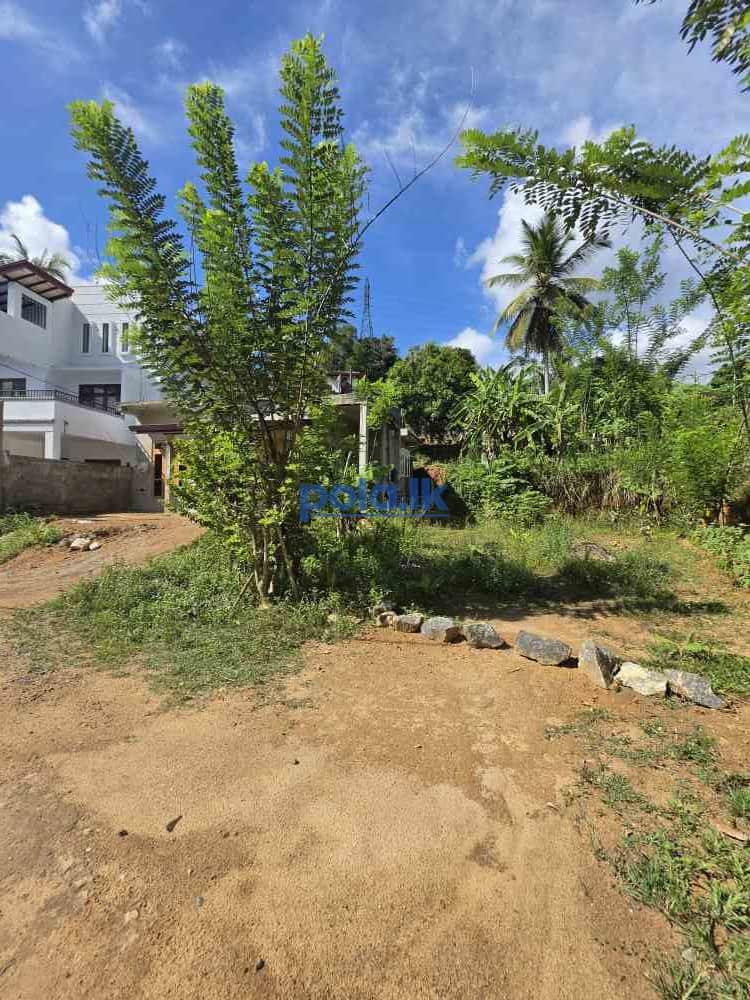 Land for sale - photo 6