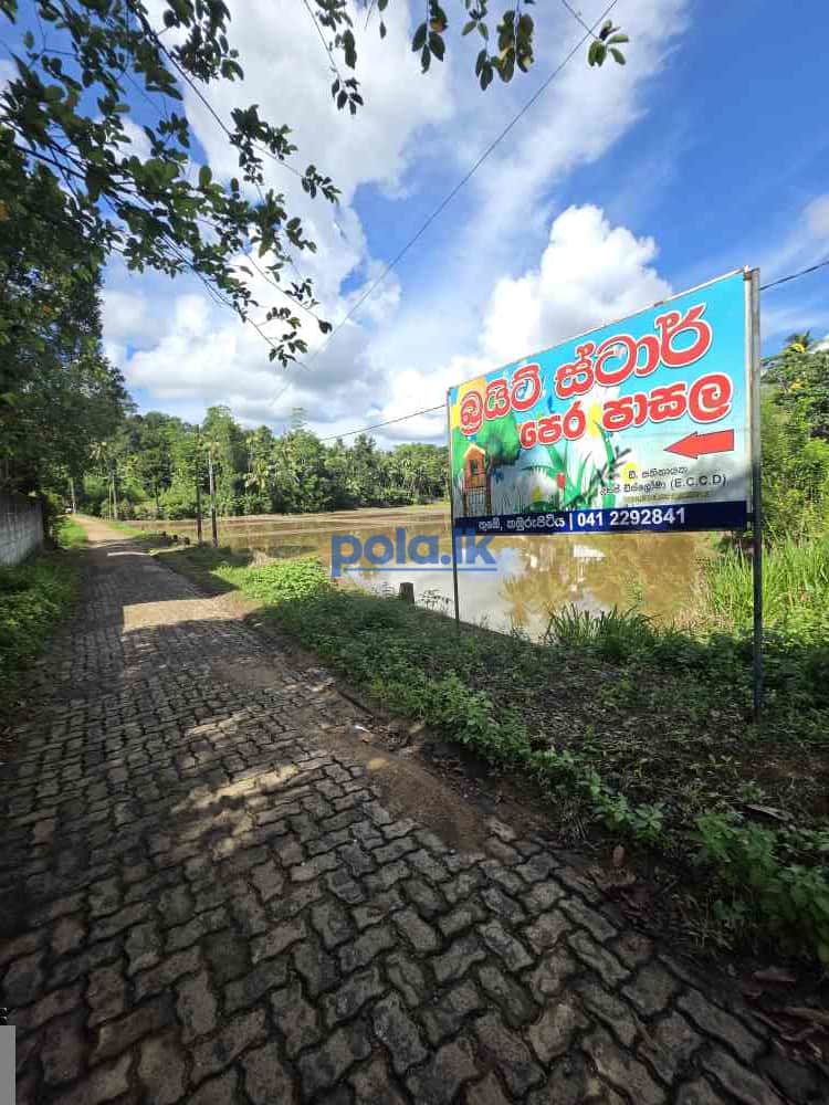 Land for sale - photo 1