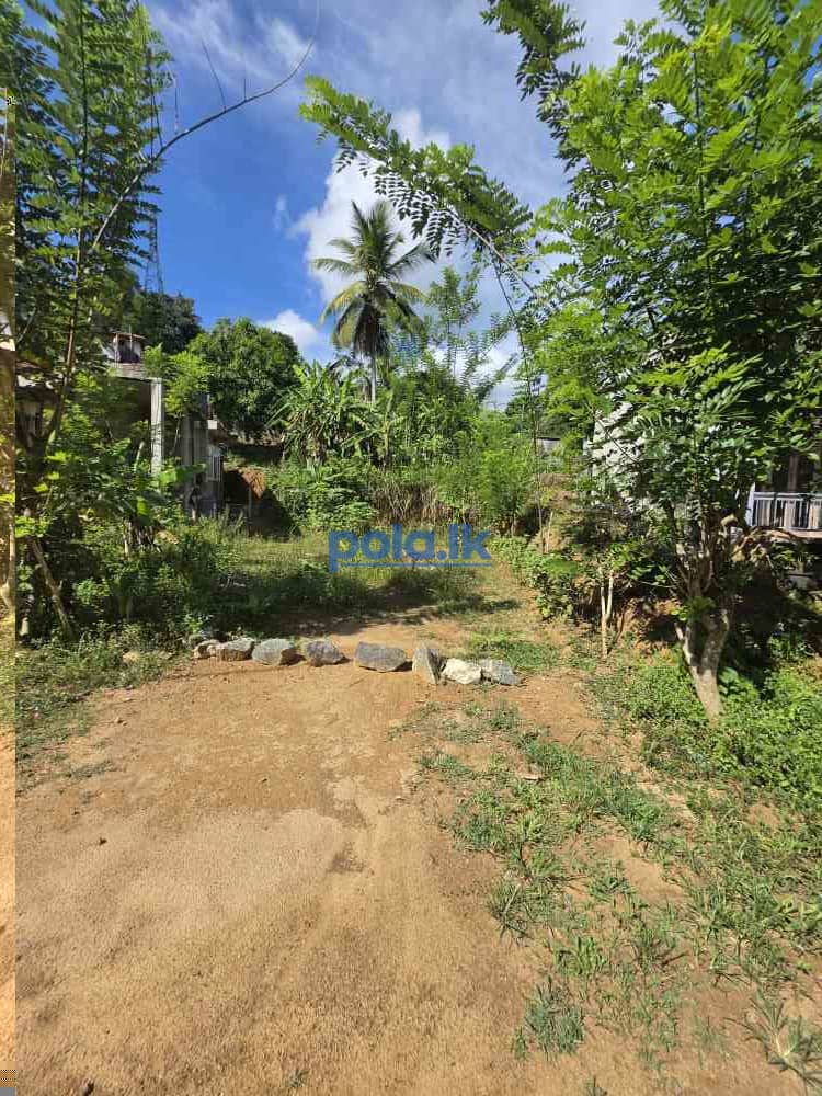 Land for sale - photo 3