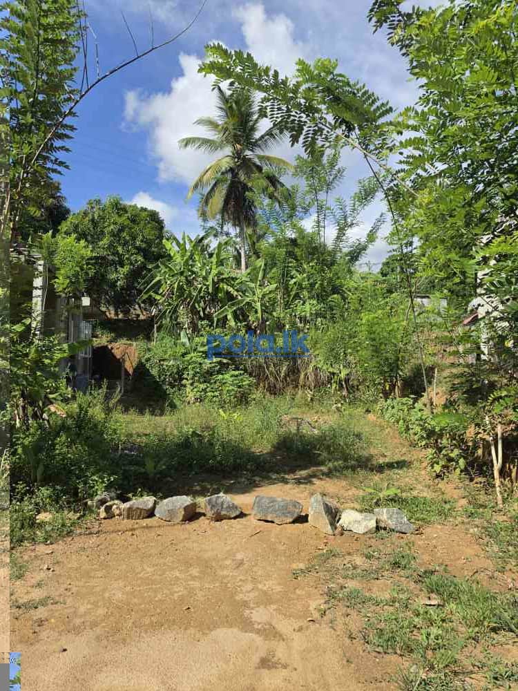 Land for sale - photo 5