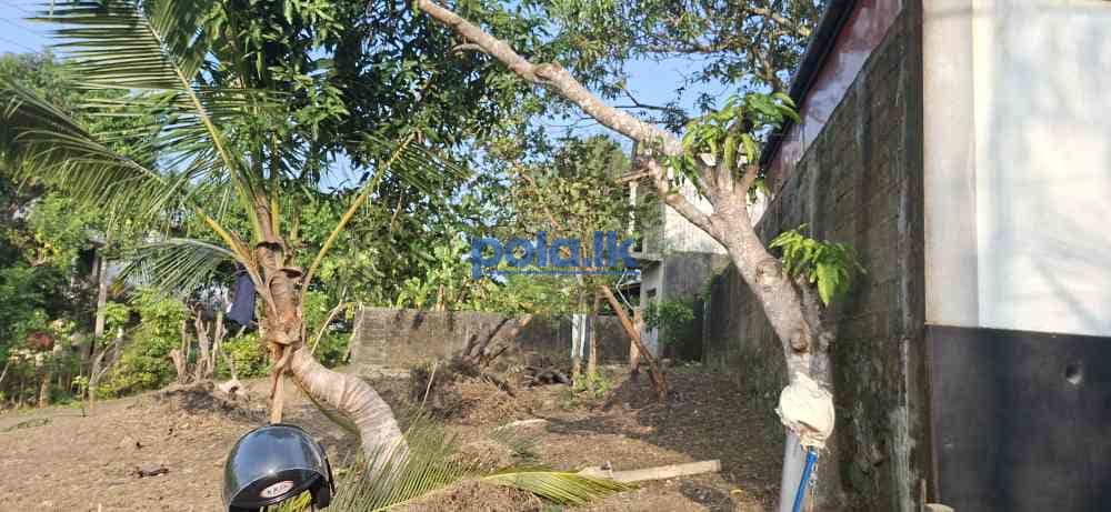 Land for sale - photo 3