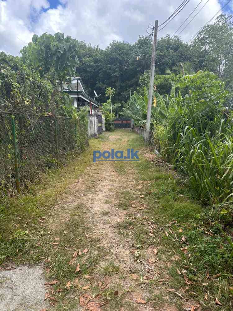House for sale in kandana - photo 20