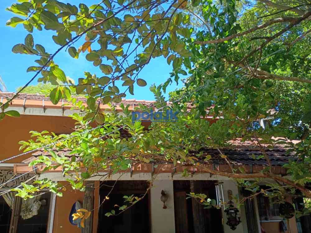 House for sale in nugegoda - photo 13