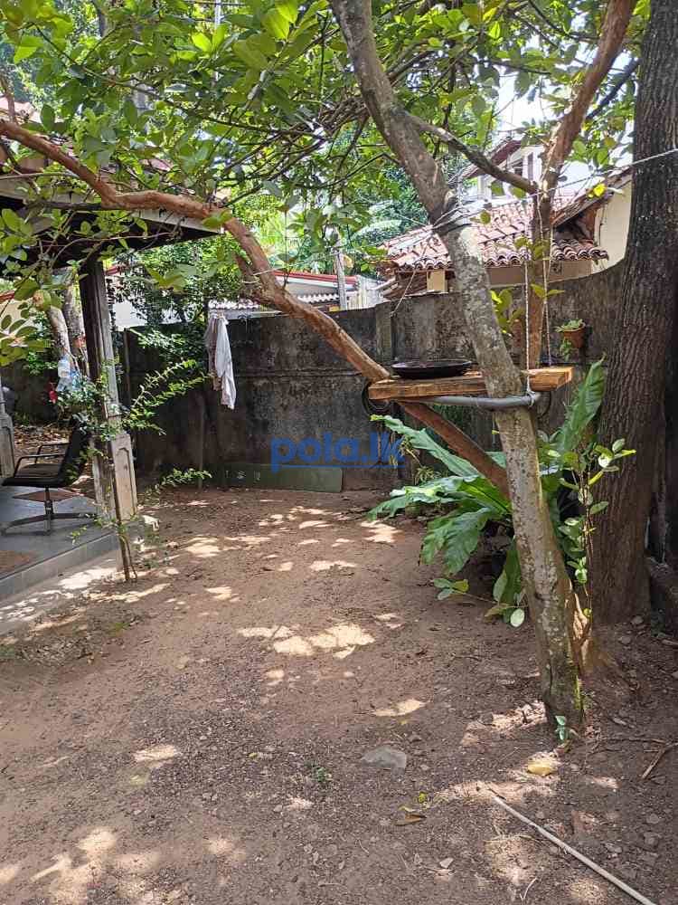 House for sale in nugegoda - photo 11