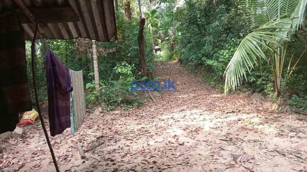 Land for sale in kithulagala - photo 5