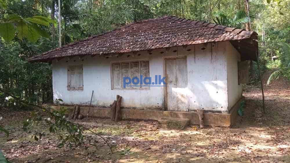 Land for sale in kithulagala - photo 2