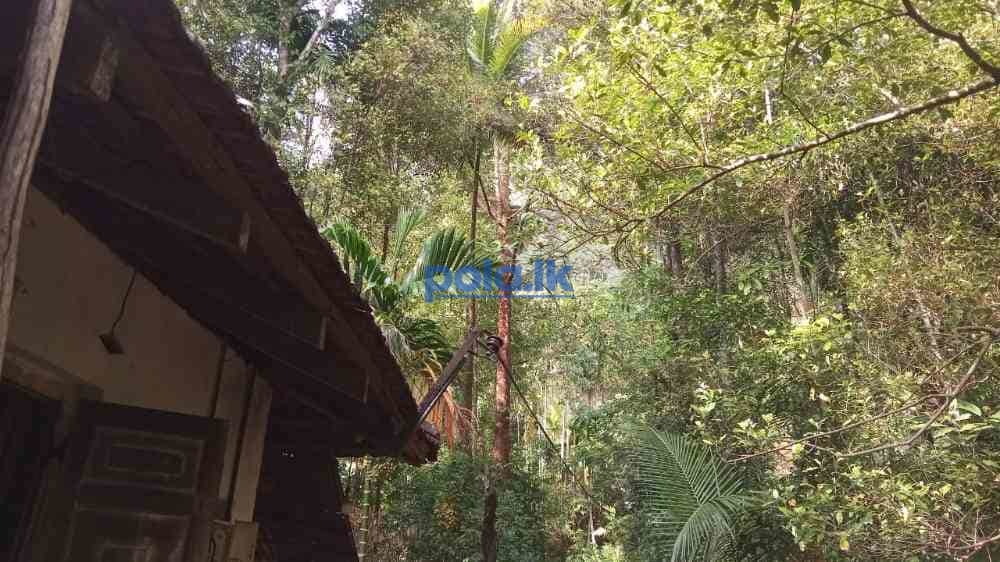 Land for sale in kithulagala - photo 1