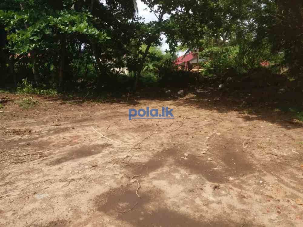 Land for sale in kahawa - photo 5