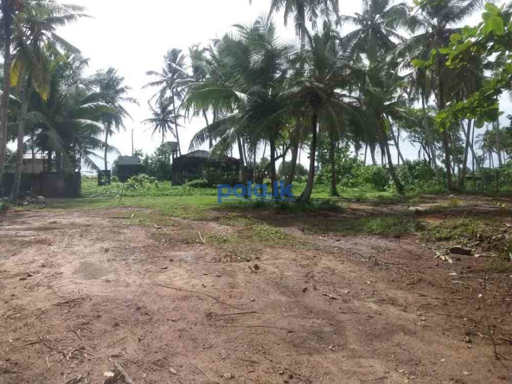 Land for sale in kahawa - photo 7